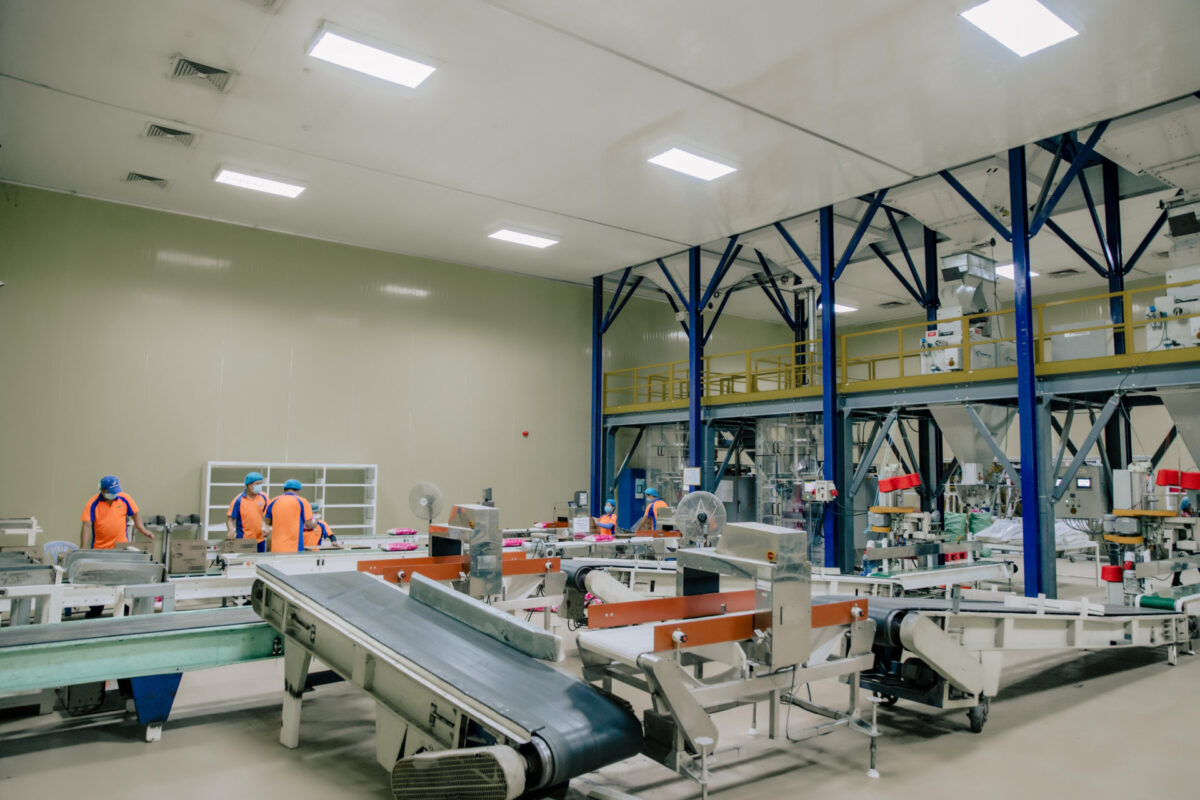 Báo Giá Xây Nhà Xưởng Khung Thép Mới Nhất 2026 – Cập Nhật Chi Tiết Và Cách Tối Ưu Chi Phí 2 Báo giá xây nhà xưởng khung thép phụ thuộc vào loại hình như nhà máy chế biến hay kho lạnh